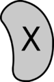 Thumbnail for version as of 06:21, 7 June 2019