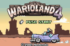 Game Boy Advance / Game Boy Color